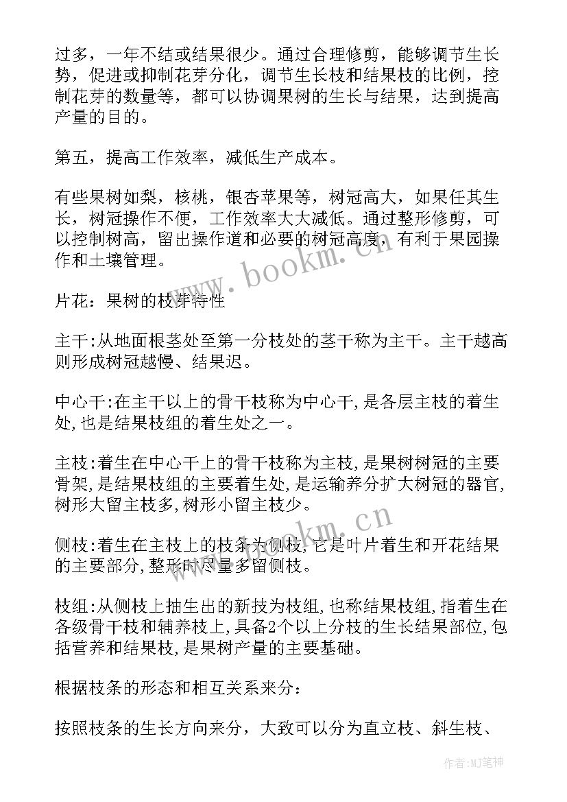 最新修剪果树工作总结 果树整形修剪基础(大全5篇)