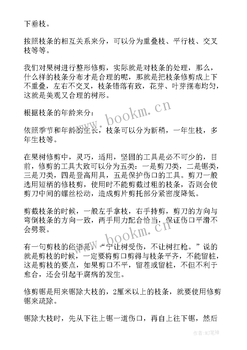 最新修剪果树工作总结 果树整形修剪基础(大全5篇)