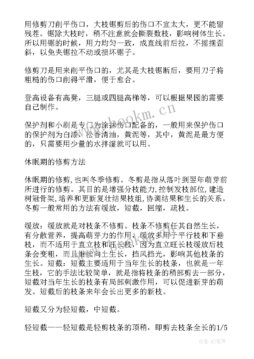 最新修剪果树工作总结 果树整形修剪基础(大全5篇)