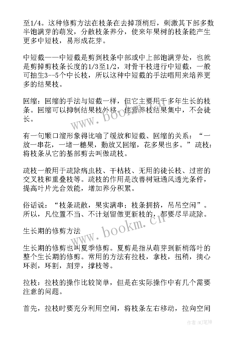 最新修剪果树工作总结 果树整形修剪基础(大全5篇)