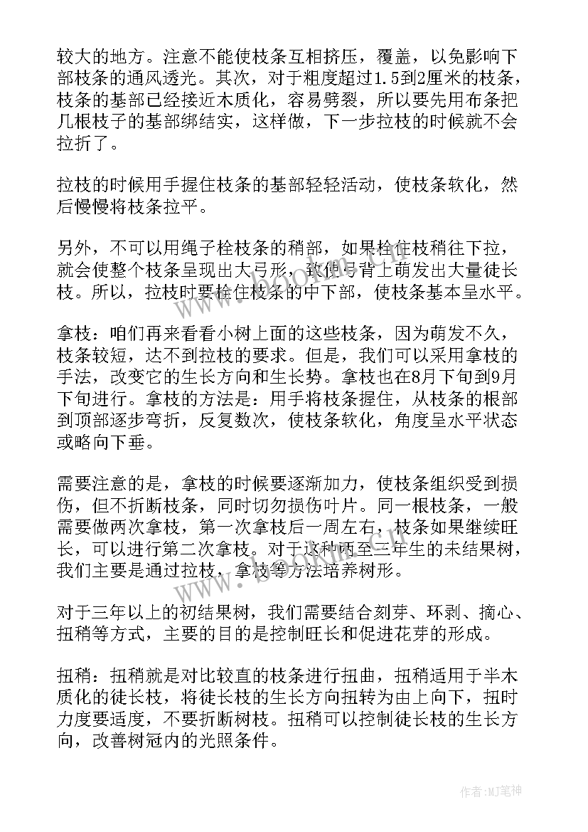 最新修剪果树工作总结 果树整形修剪基础(大全5篇)