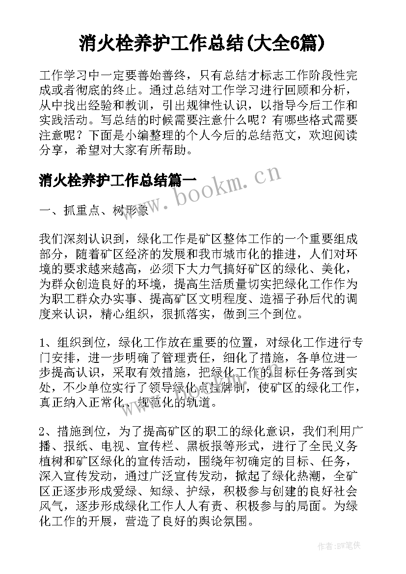 消火栓养护工作总结(大全6篇)