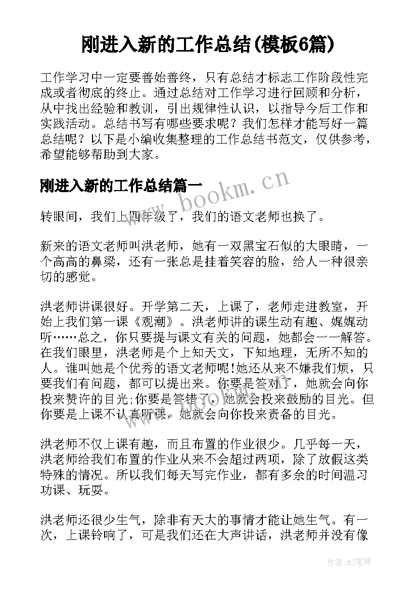 刚进入新的工作总结(模板6篇)