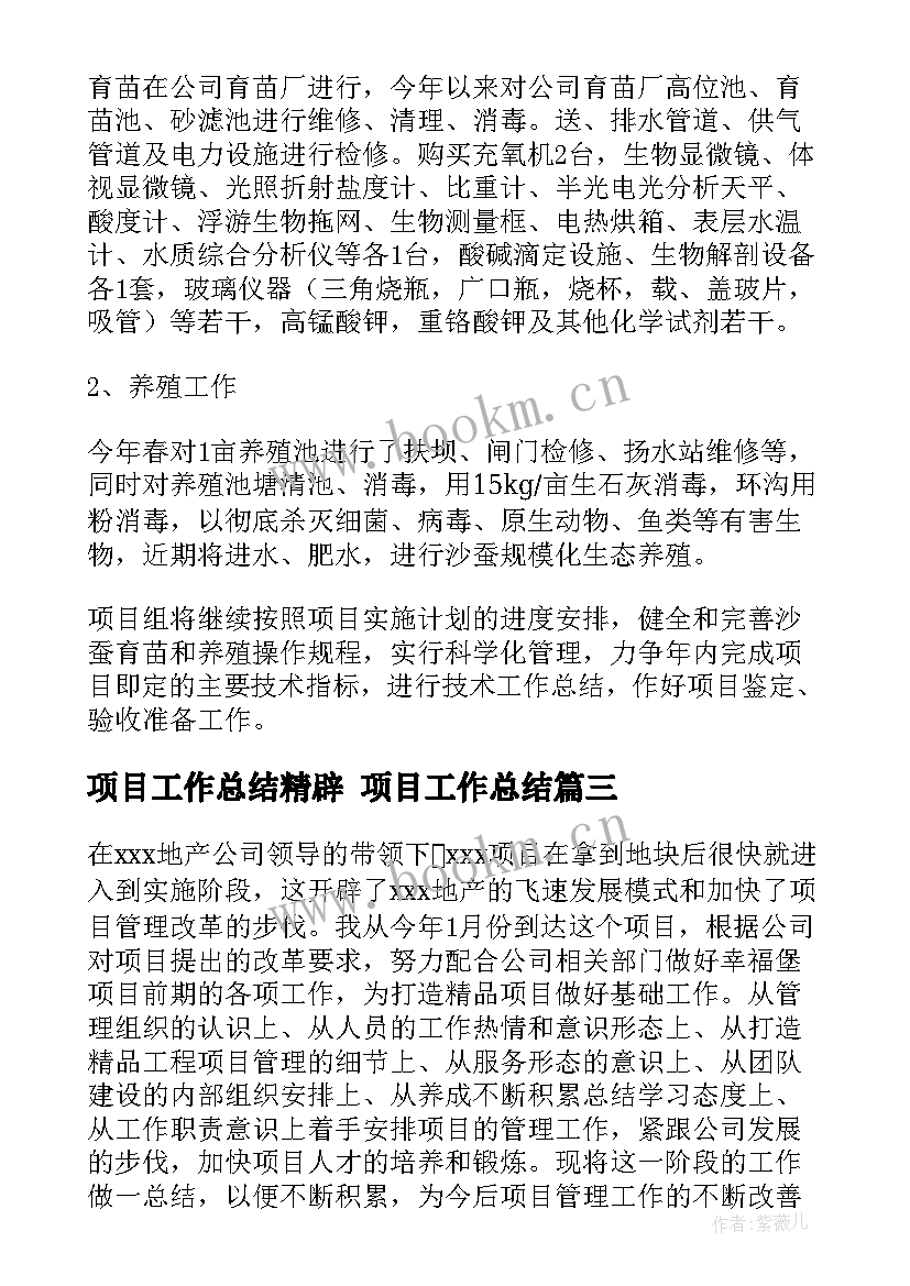 2023年项目工作总结精辟 项目工作总结(汇总8篇)