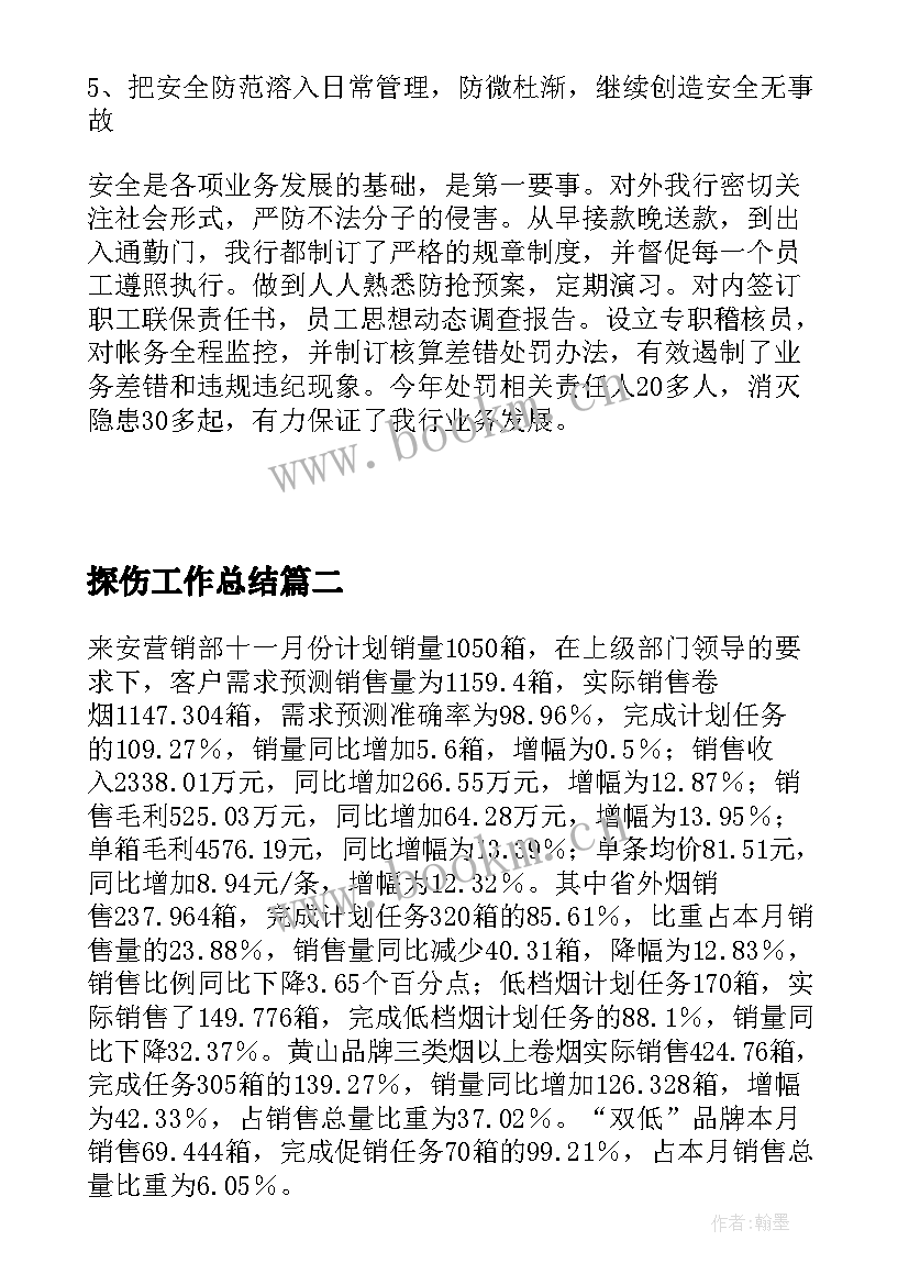 2023年探伤工作总结(优质6篇)