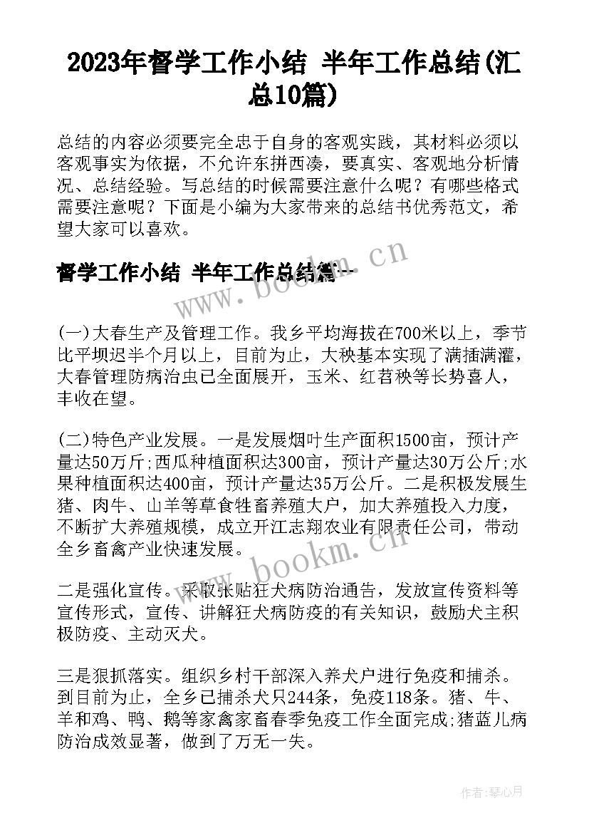 2023年督学工作小结 半年工作总结(汇总10篇)