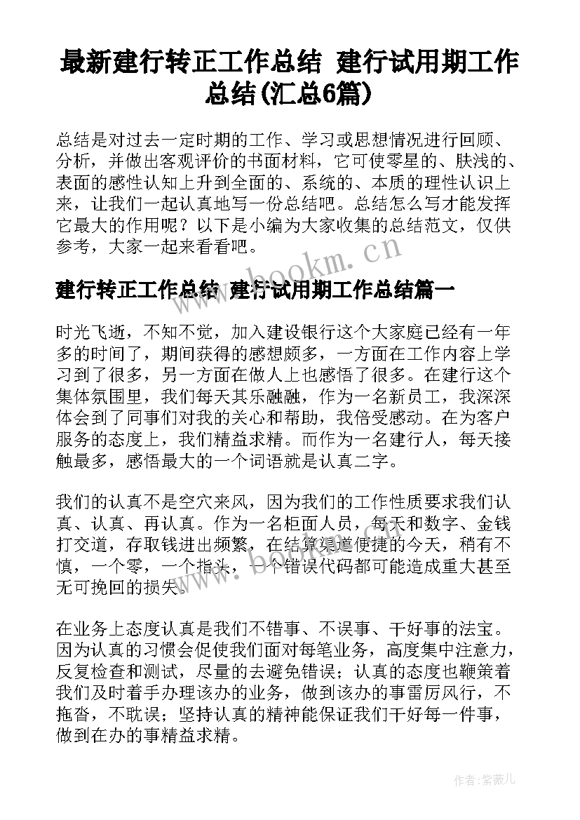 最新建行转正工作总结 建行试用期工作总结(汇总6篇)