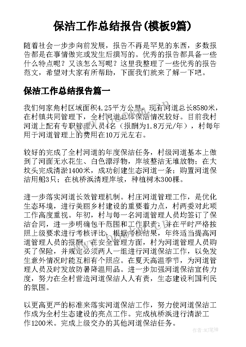 保洁工作总结报告(模板9篇)