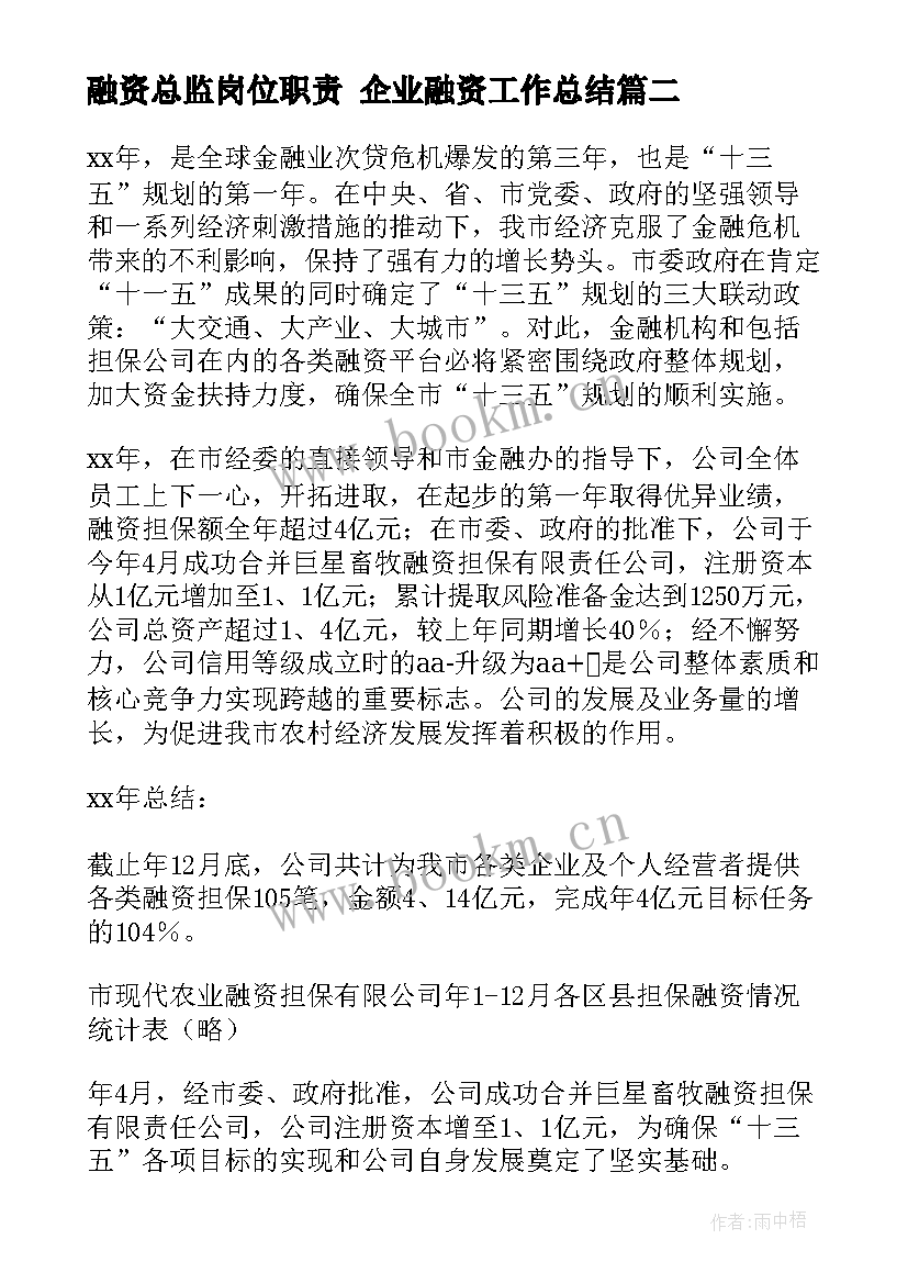 融资总监岗位职责 企业融资工作总结(大全9篇)