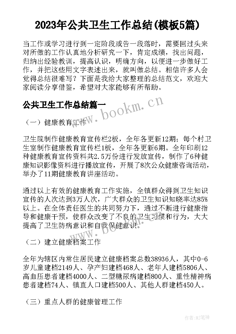 2023年公共卫生工作总结(模板5篇)