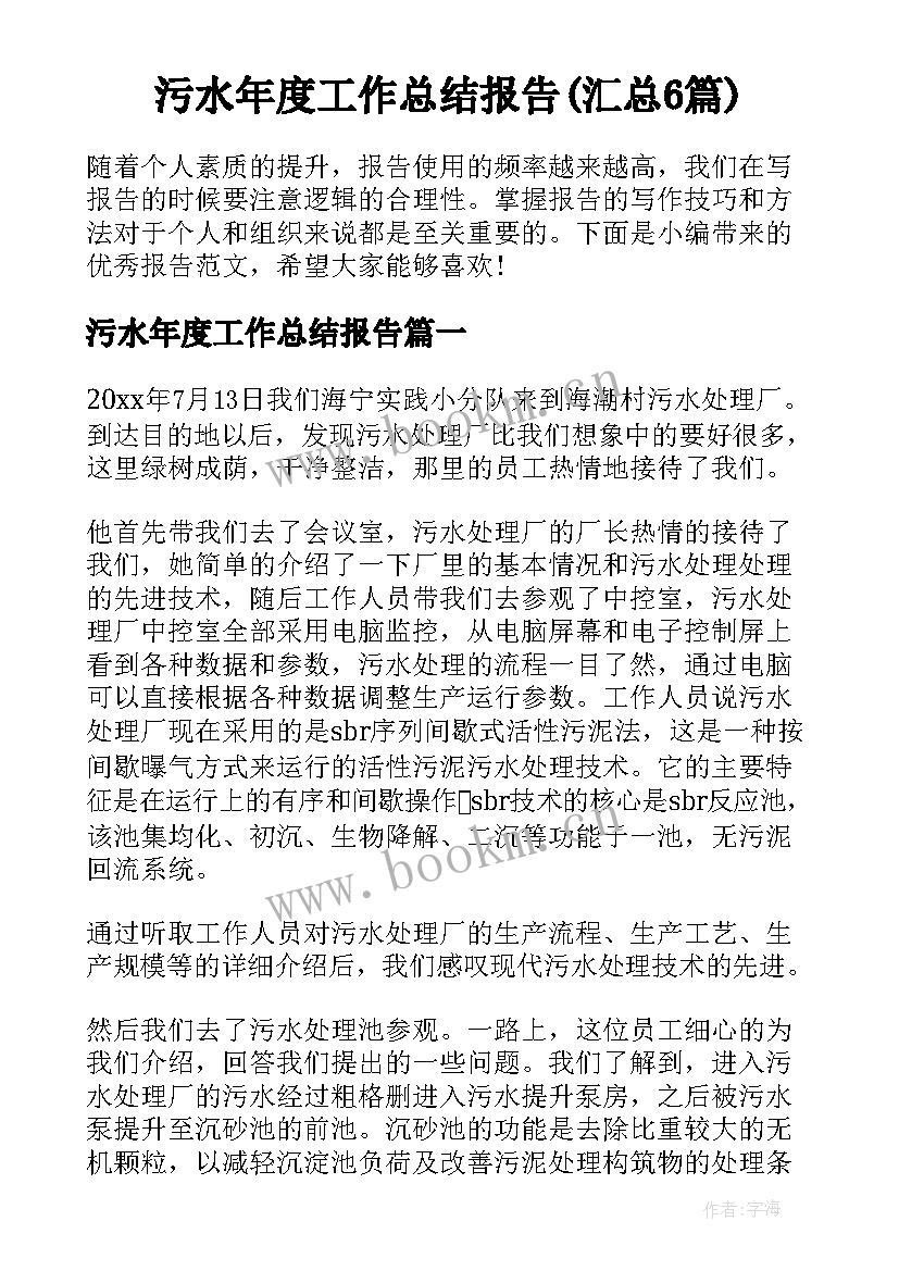 污水年度工作总结报告(汇总6篇)