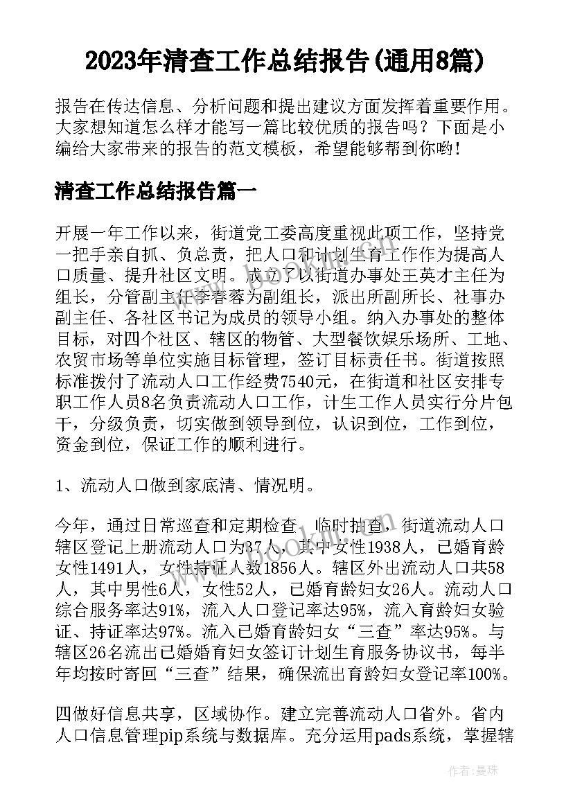 2023年清查工作总结报告(通用8篇)