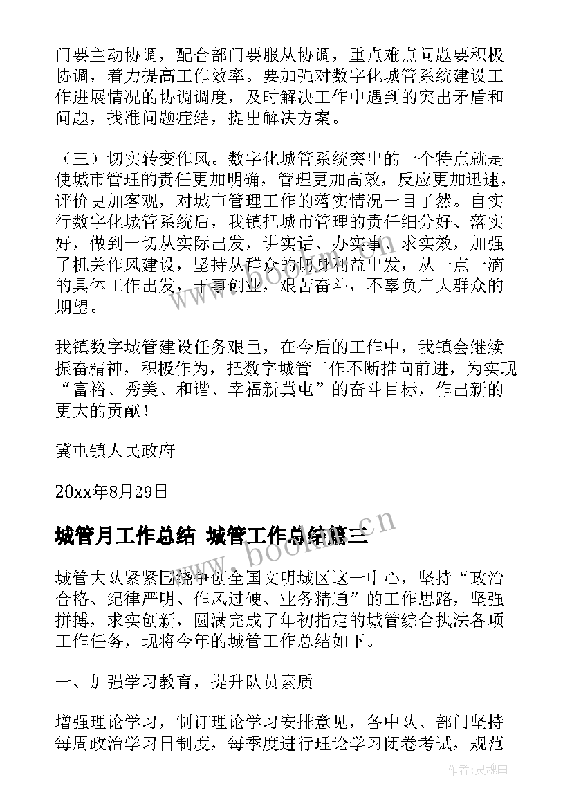 最新城管月工作总结 城管工作总结(优质6篇)