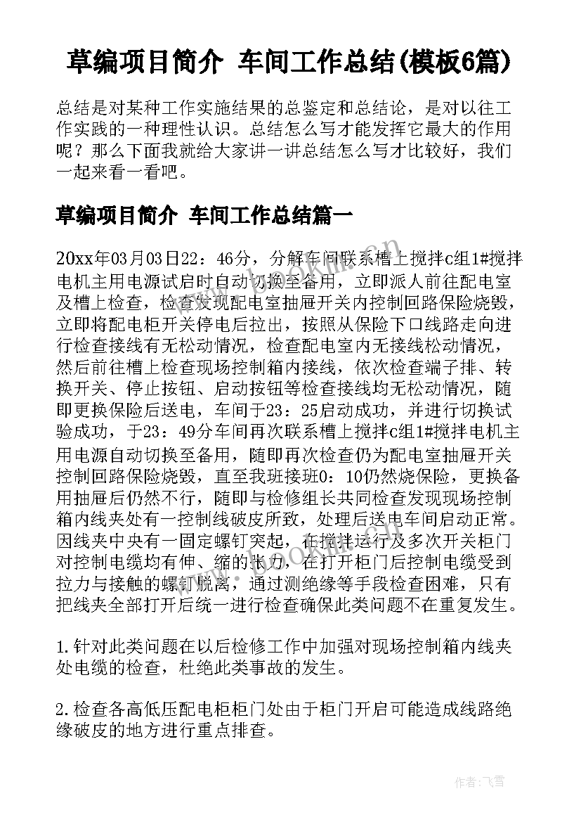草编项目简介 车间工作总结(模板6篇)