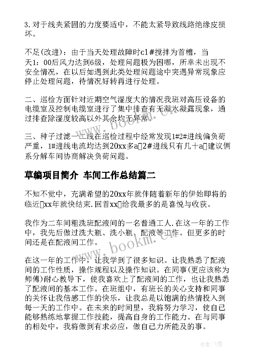 草编项目简介 车间工作总结(模板6篇)