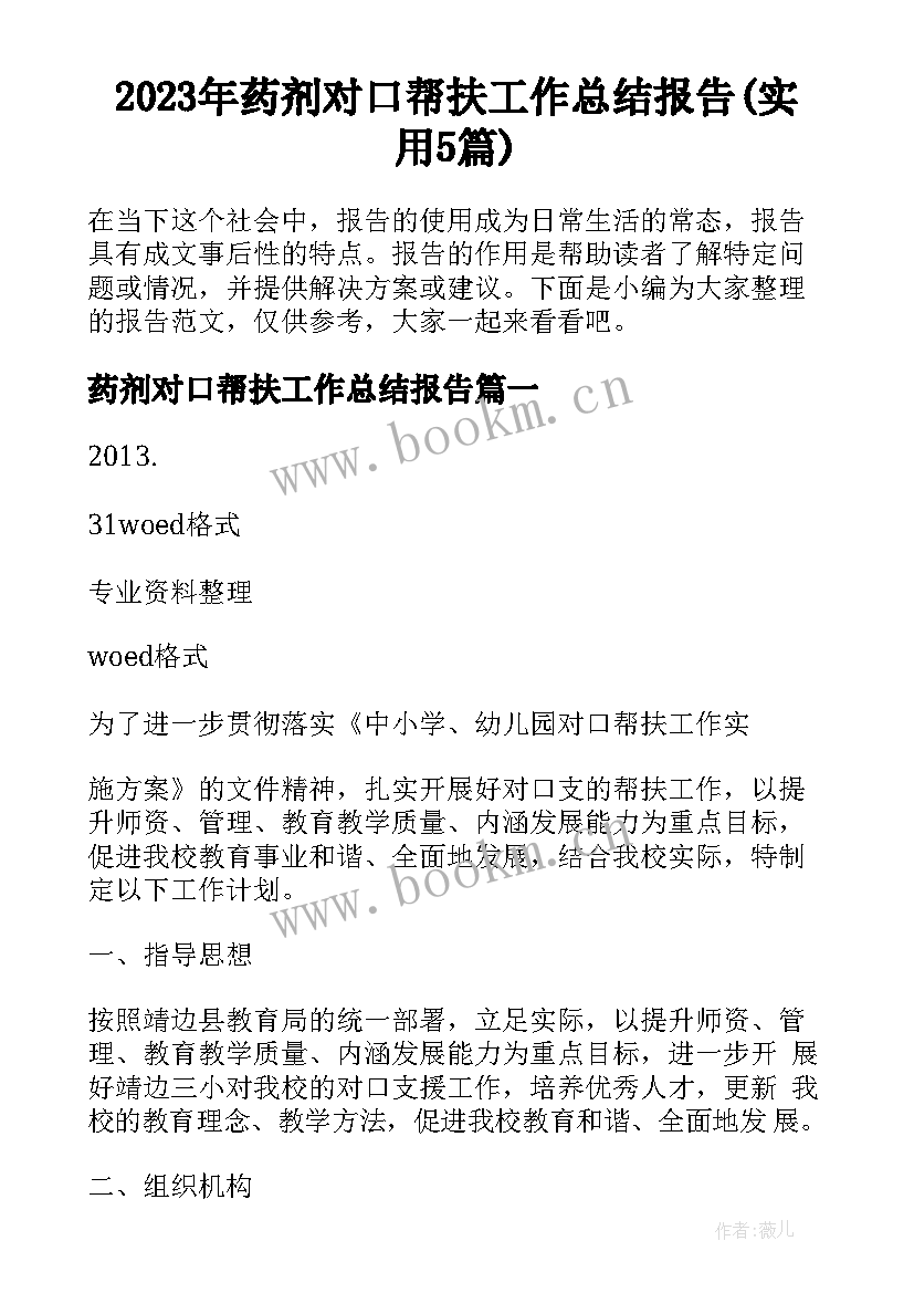 2023年药剂对口帮扶工作总结报告(实用5篇)