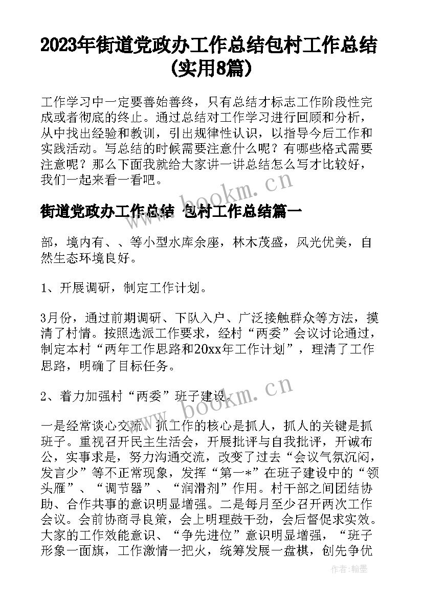 2023年街道党政办工作总结 包村工作总结(实用8篇)