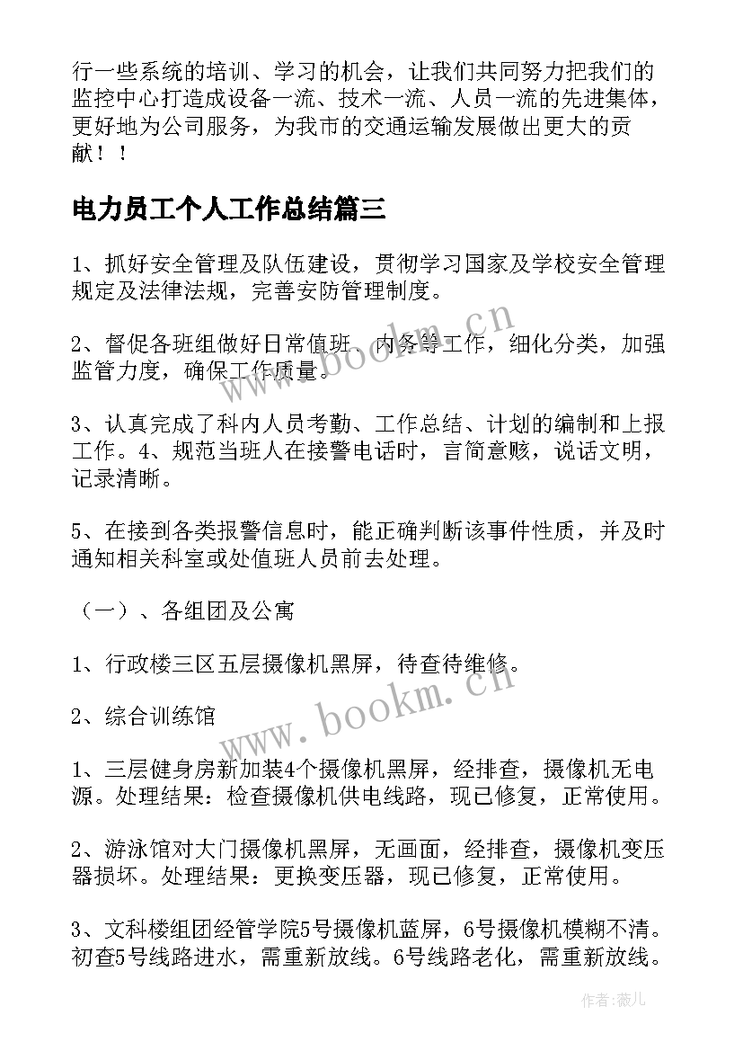 电力员工个人工作总结(精选5篇)