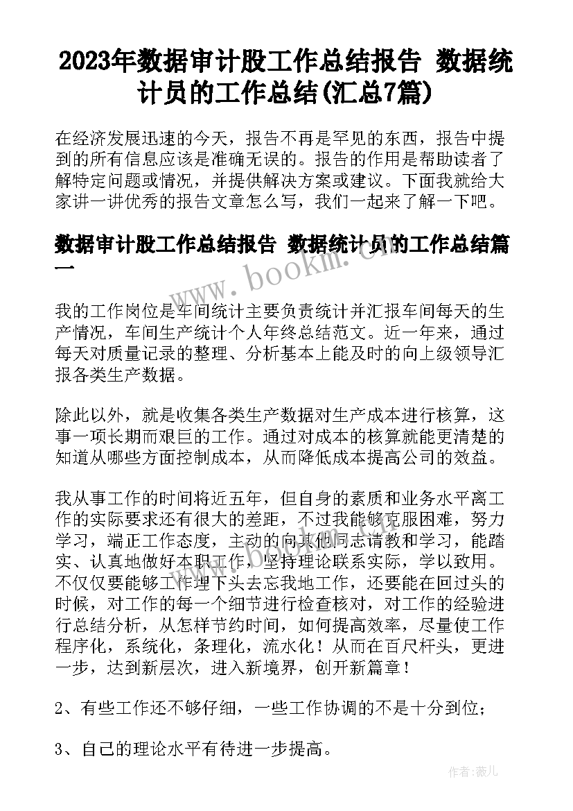 2023年数据审计股工作总结报告 数据统计员的工作总结(汇总7篇)