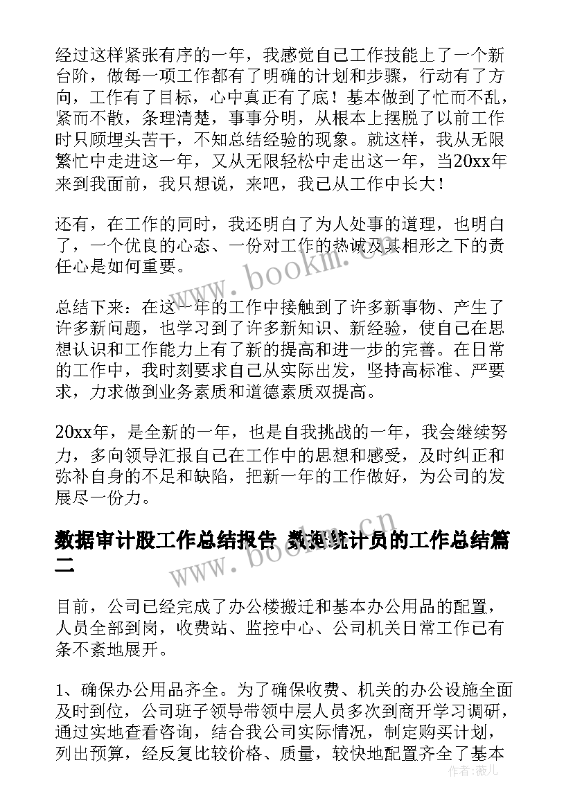 2023年数据审计股工作总结报告 数据统计员的工作总结(汇总7篇)