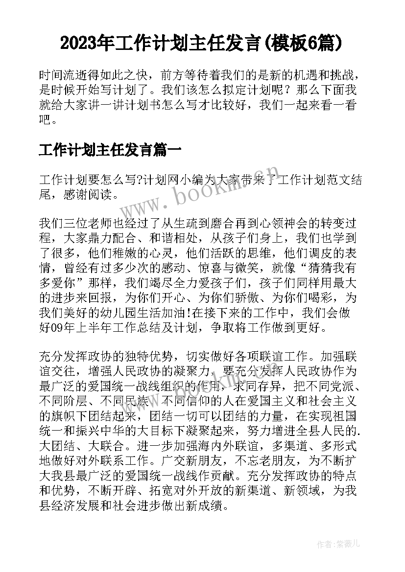 2023年工作计划主任发言(模板6篇)