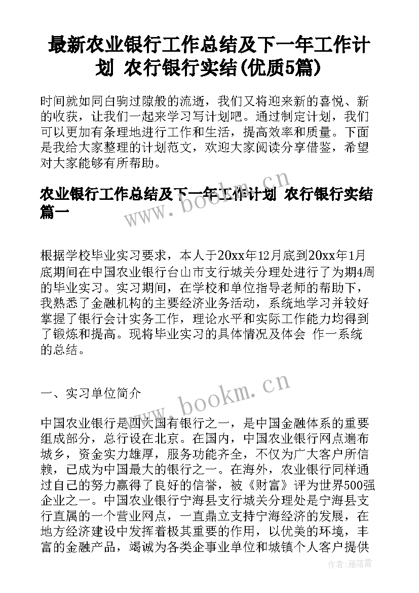 最新农业银行工作总结及下一年工作计划 农行银行实结(优质5篇)