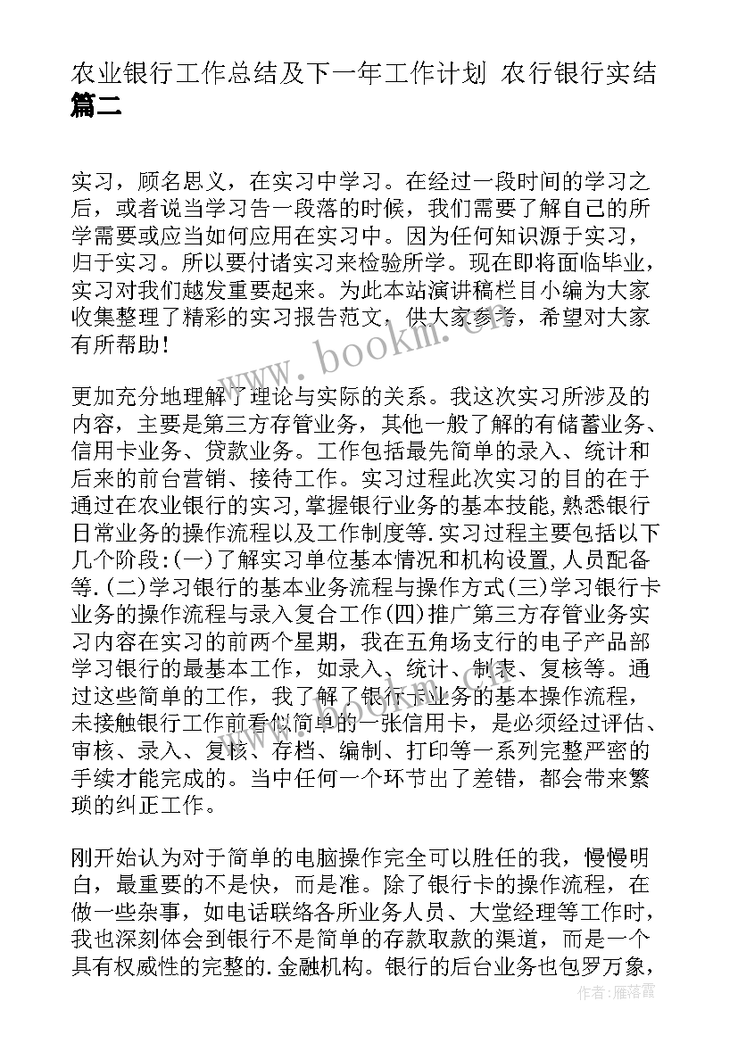 最新农业银行工作总结及下一年工作计划 农行银行实结(优质5篇)