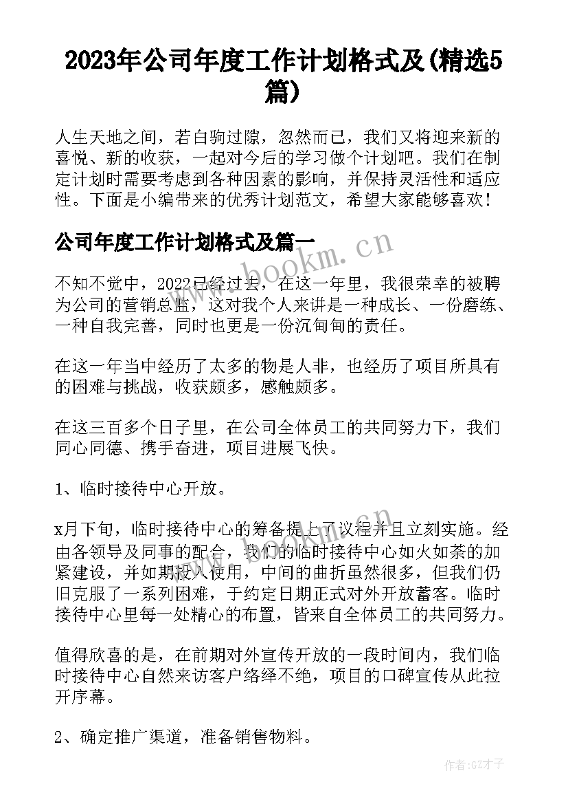 2023年公司年度工作计划格式及(精选5篇)