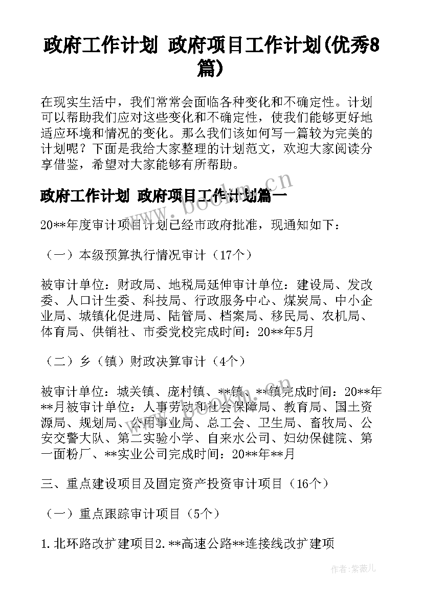 政府工作计划 政府项目工作计划(优秀8篇)