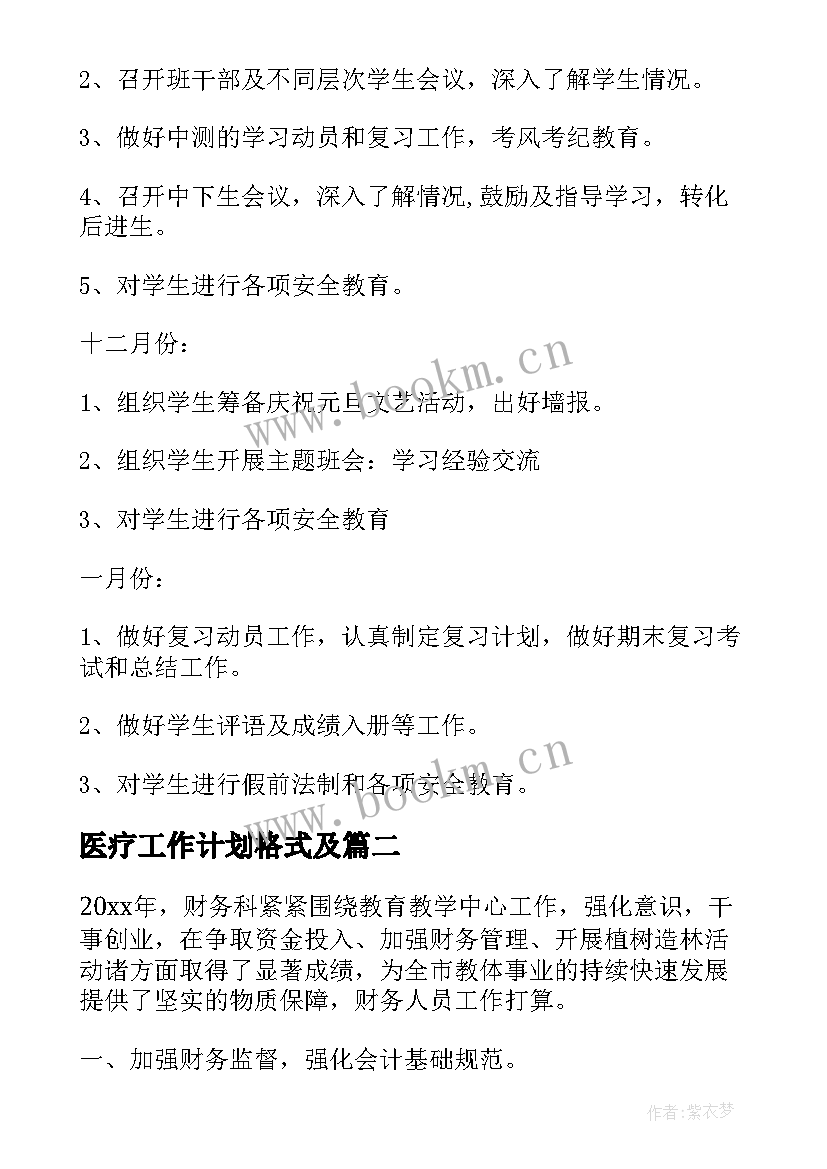 医疗工作计划格式及(优质5篇)