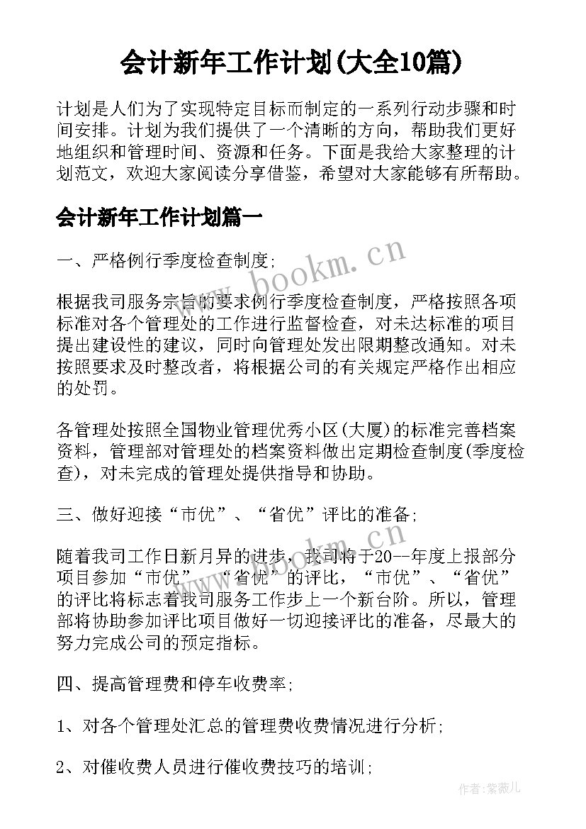 会计新年工作计划(大全10篇)