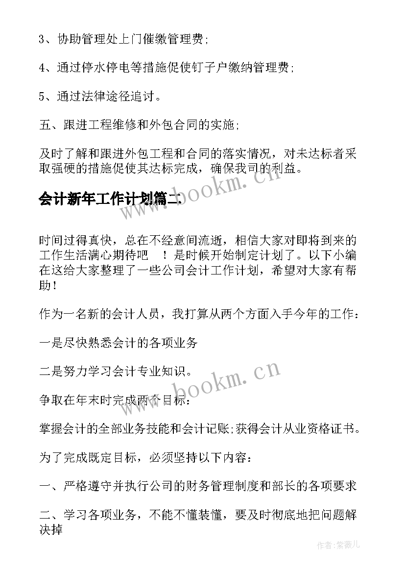 会计新年工作计划(大全10篇)