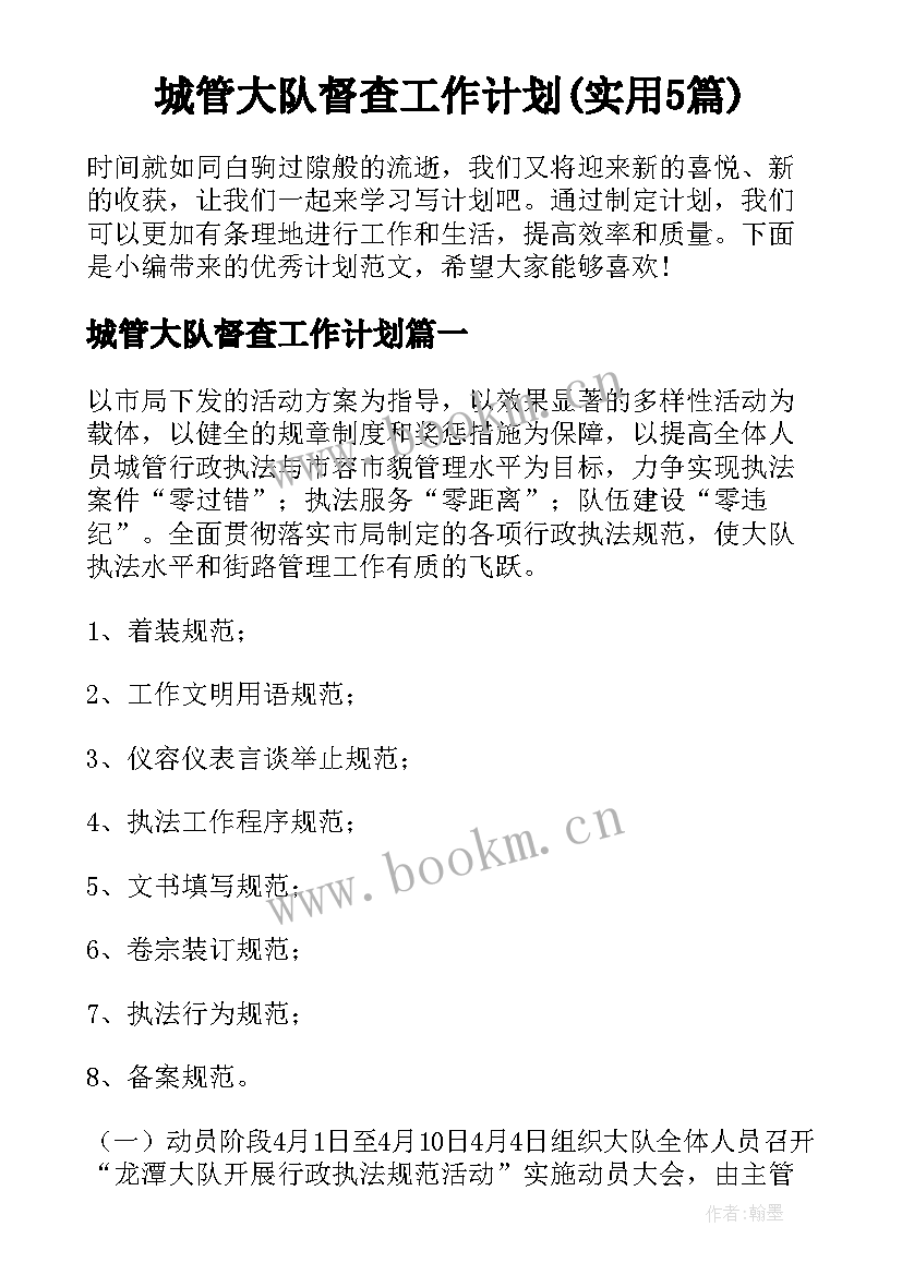 城管大队督查工作计划(实用5篇)