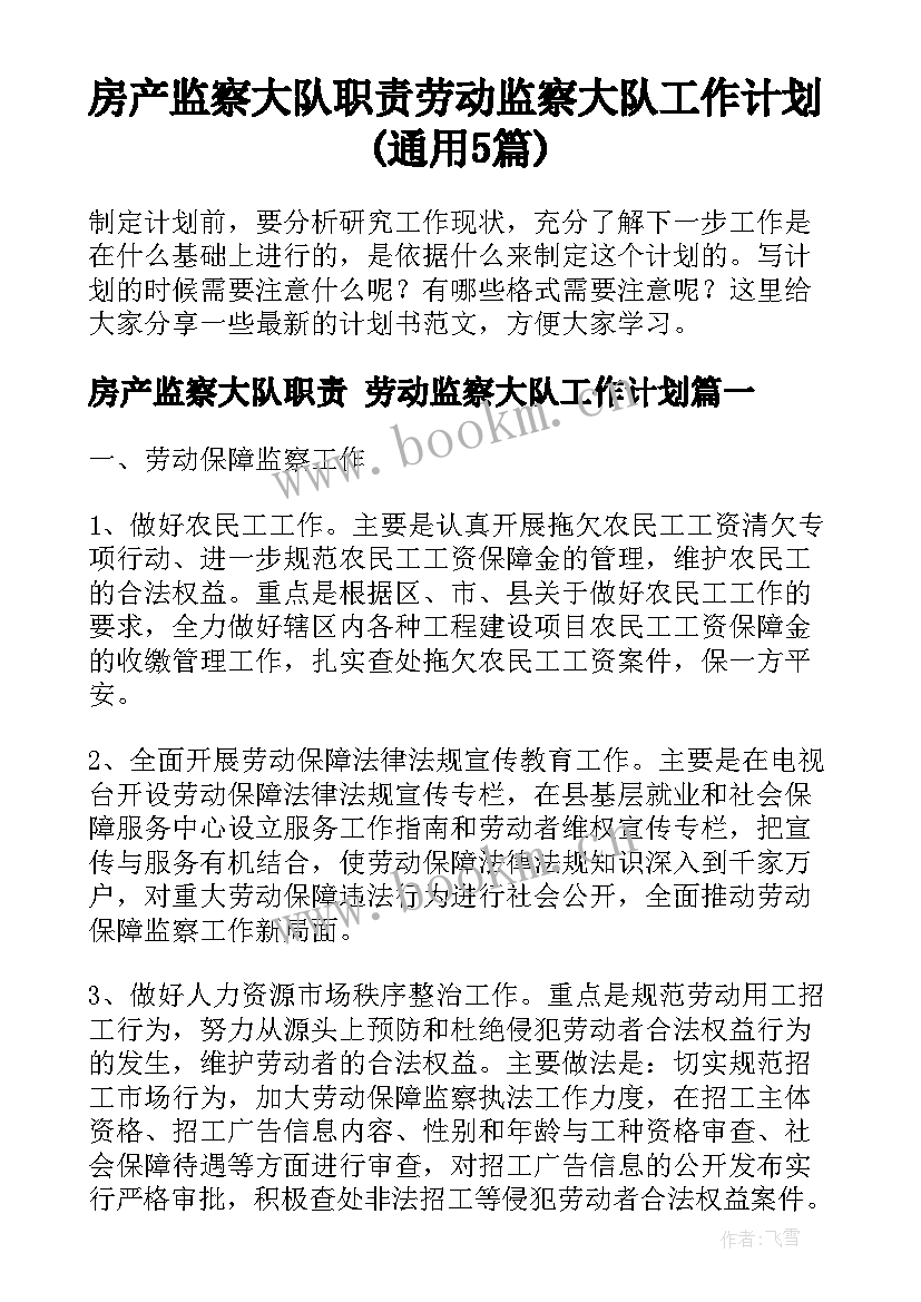 房产监察大队职责 劳动监察大队工作计划(通用5篇)