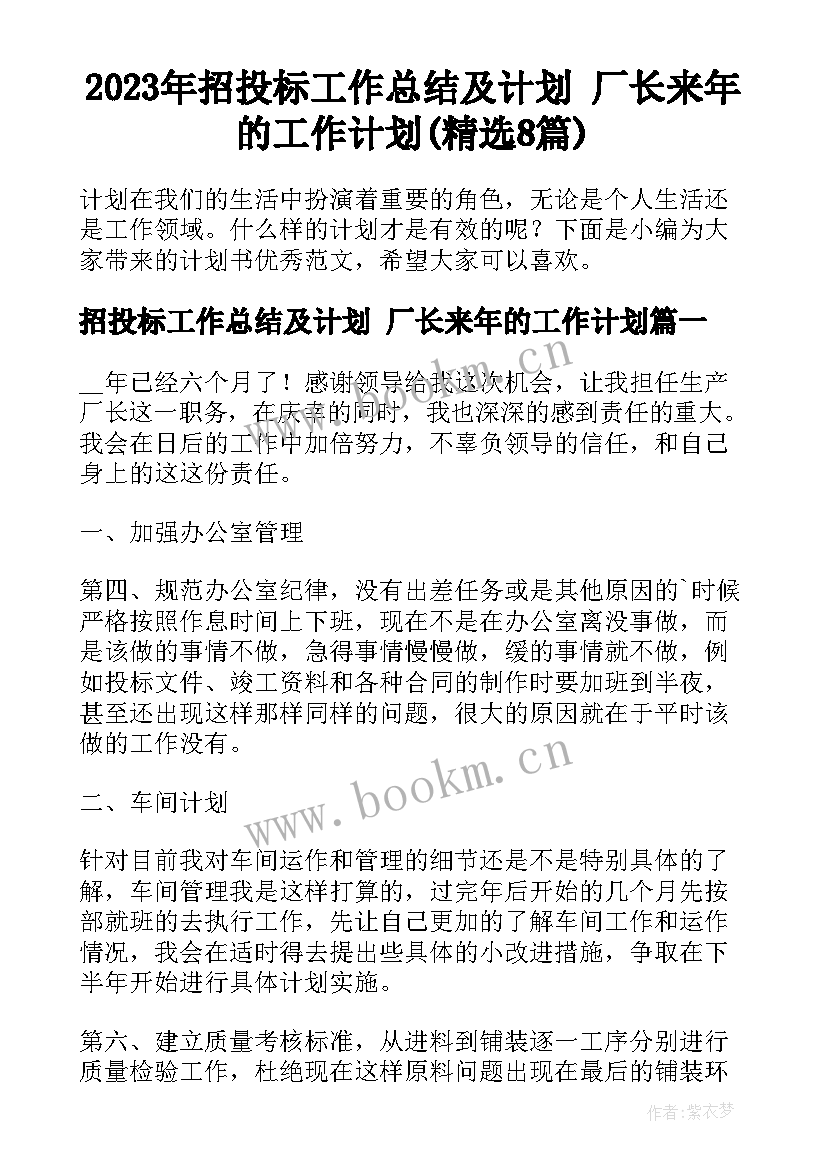 2023年招投标工作总结及计划 厂长来年的工作计划(精选8篇)