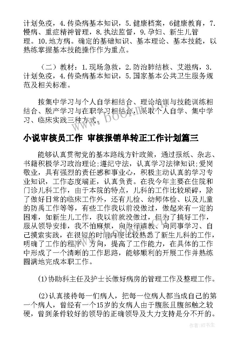 小说审核员工作 审核报销单转正工作计划(优质7篇)