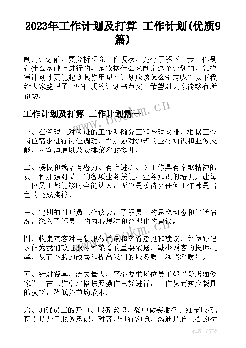 2023年工作计划及打算 工作计划(优质9篇)