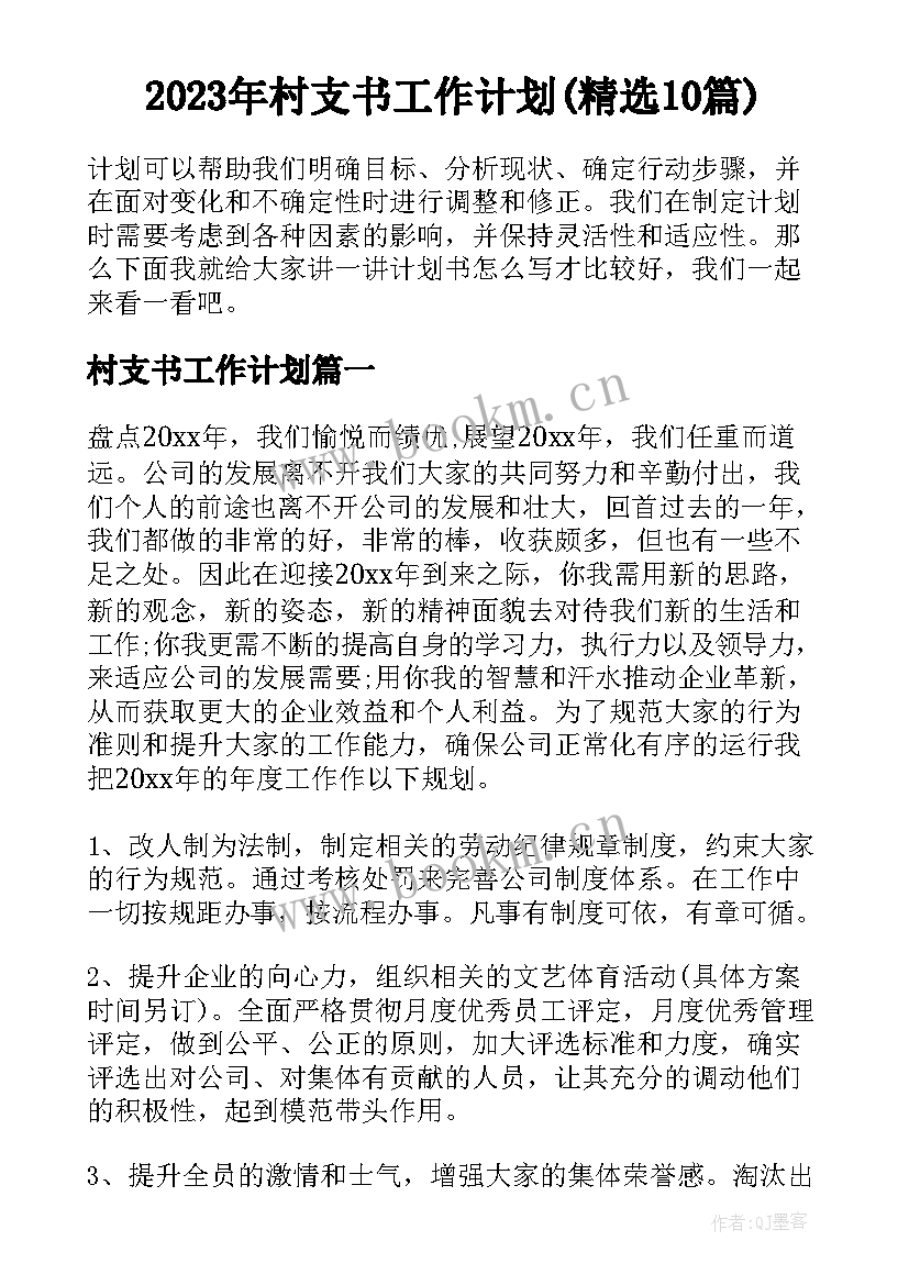 2023年村支书工作计划(精选10篇)