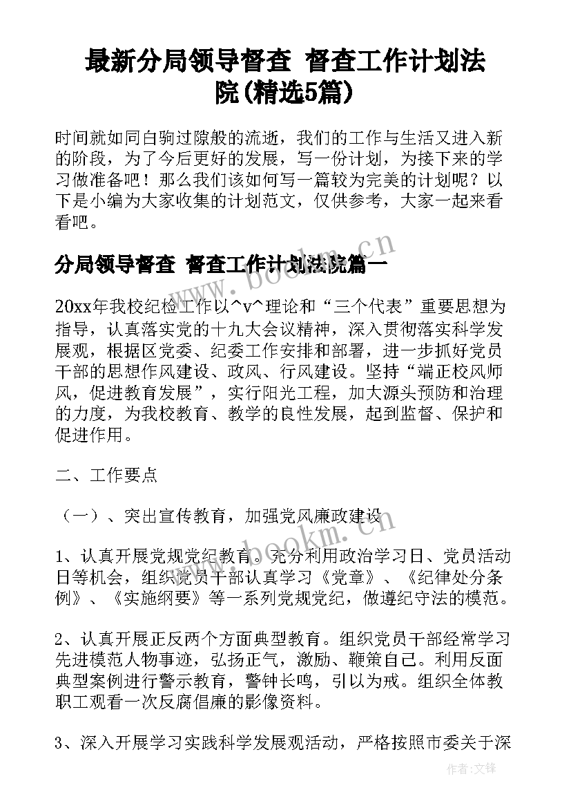 最新分局领导督查 督查工作计划法院(精选5篇)