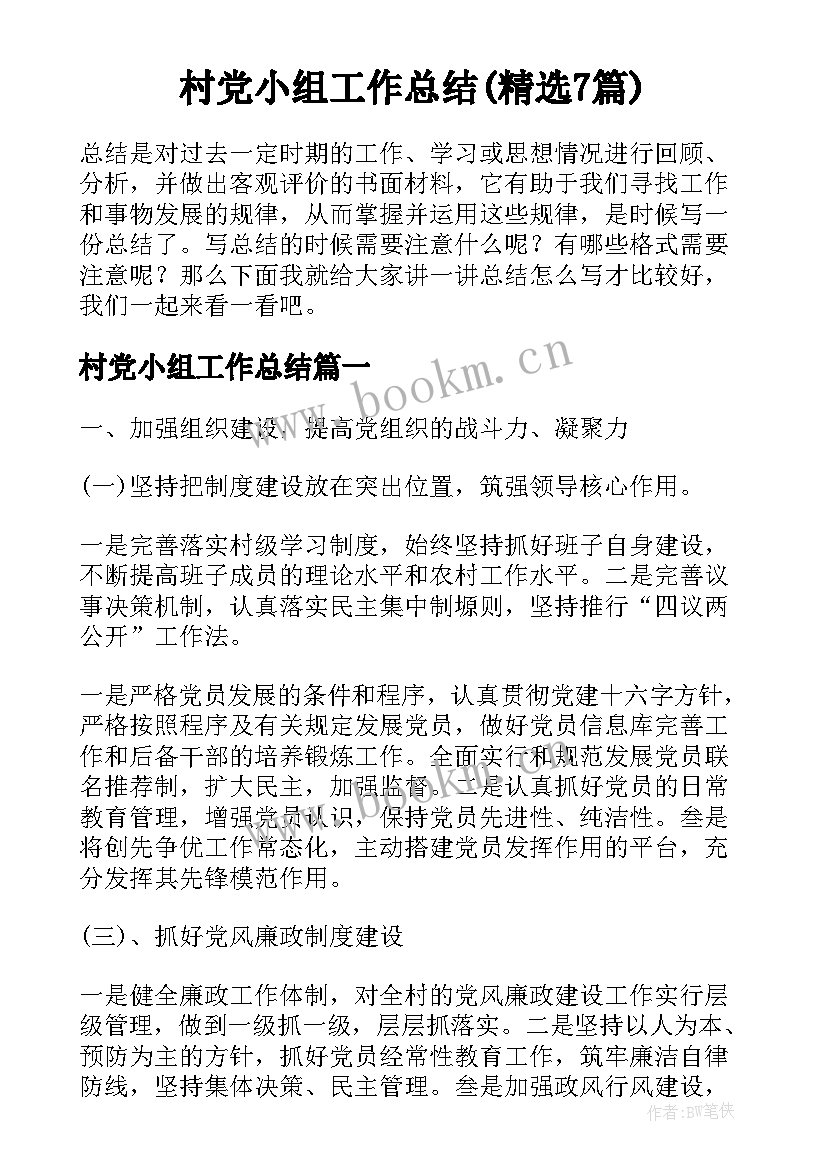 村党小组工作总结(精选7篇)