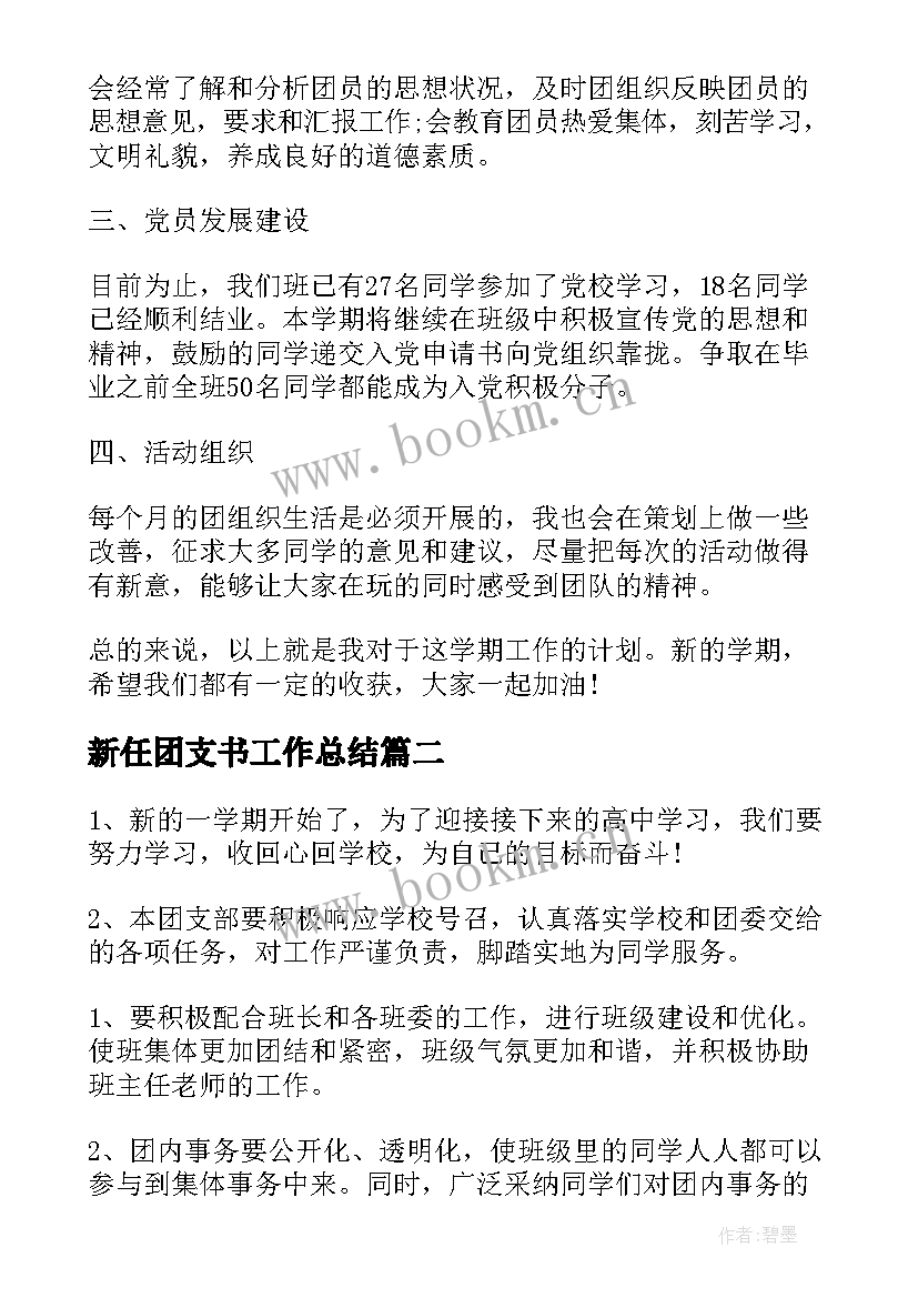 新任团支书工作总结(模板6篇)