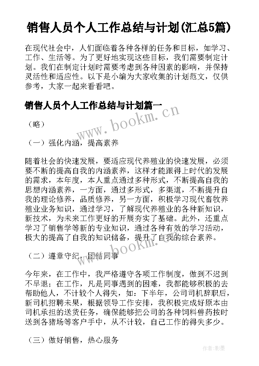 销售人员个人工作总结与计划(汇总5篇)