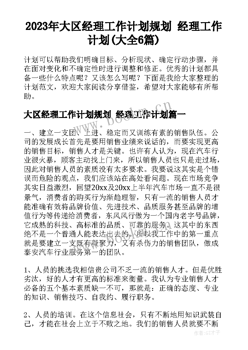 2023年大区经理工作计划规划 经理工作计划(大全6篇)