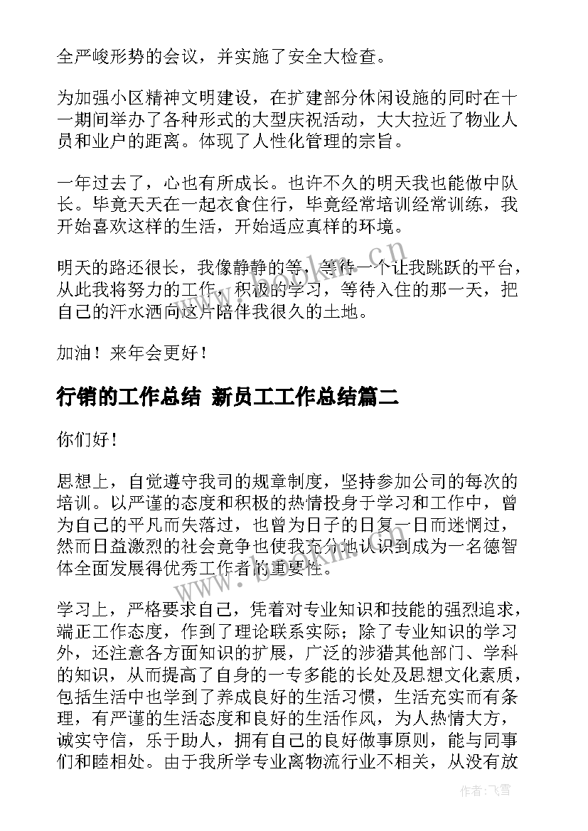 2023年行销的工作总结 新员工工作总结(通用8篇)