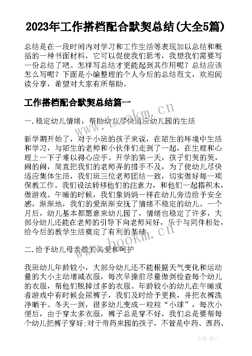 2023年工作搭档配合默契总结(大全5篇)