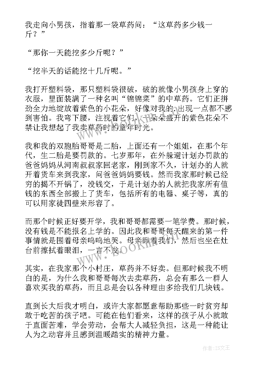 2023年药材公司工作总结(精选7篇)