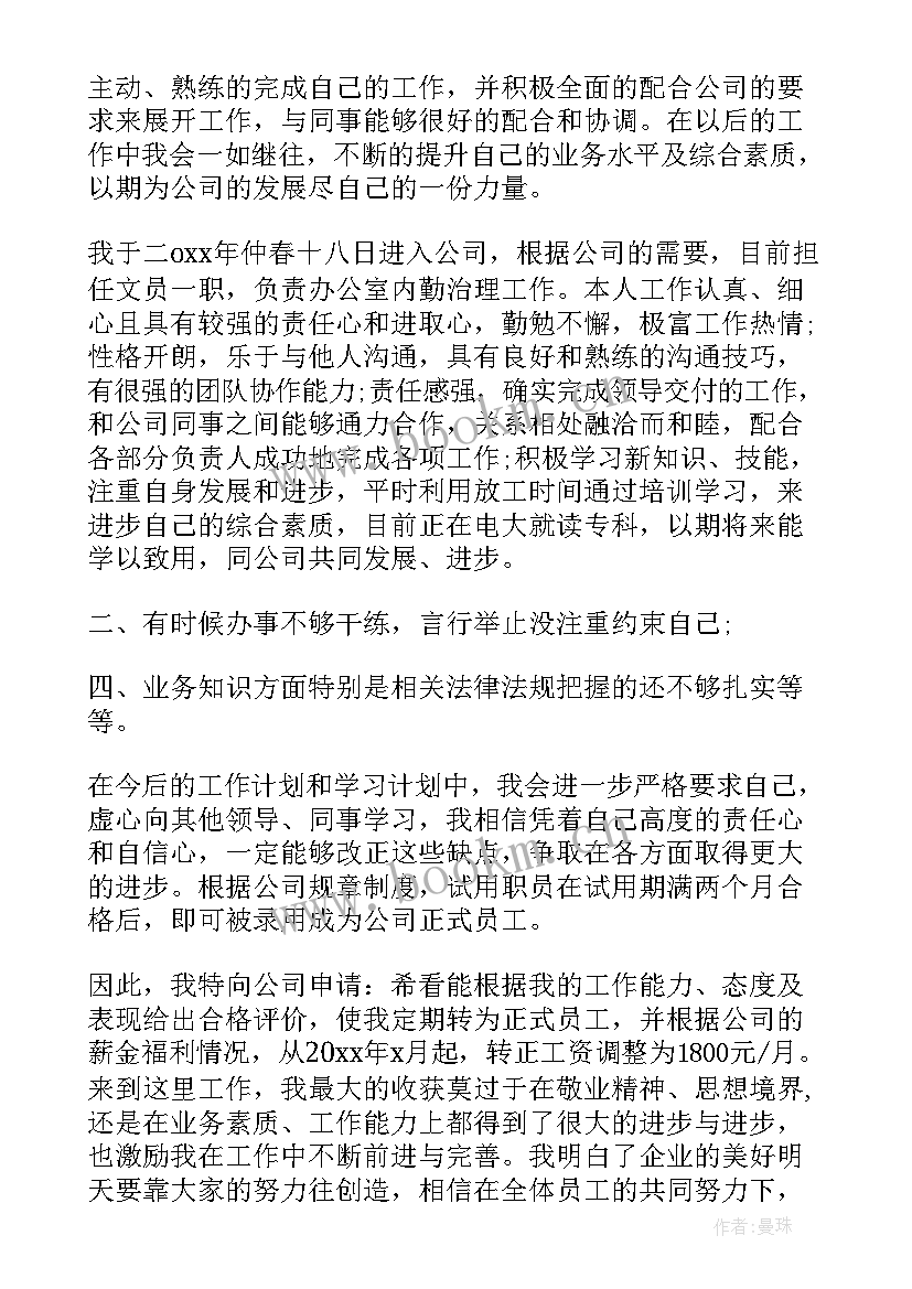 2023年执行转正工作总结(汇总5篇)