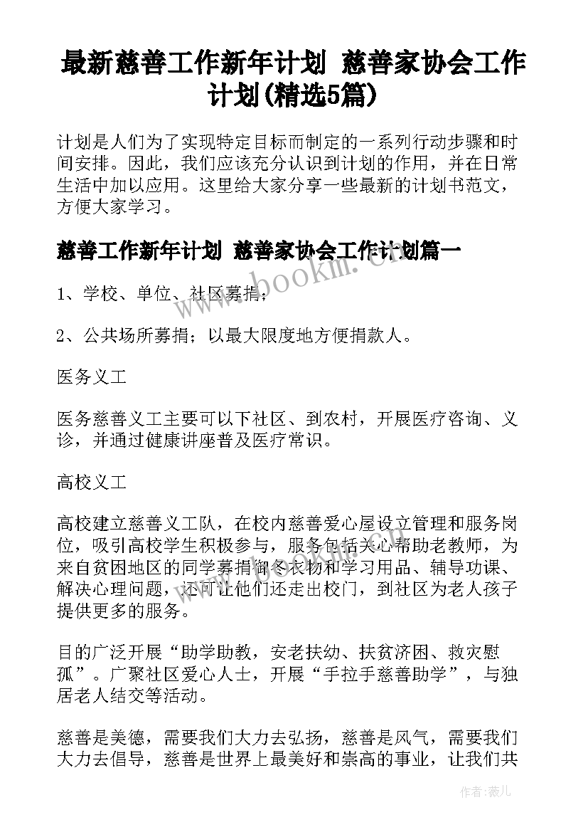 最新慈善工作新年计划 慈善家协会工作计划(精选5篇)