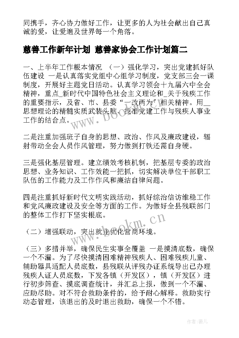 最新慈善工作新年计划 慈善家协会工作计划(精选5篇)