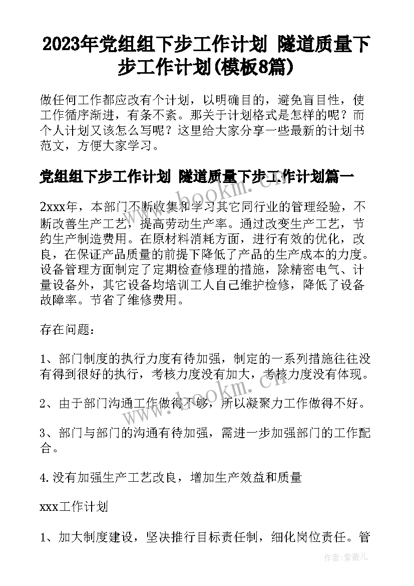 2023年党组组下步工作计划 隧道质量下步工作计划(模板8篇)